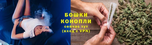 шишки Армянск