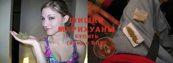 шишки Армянск