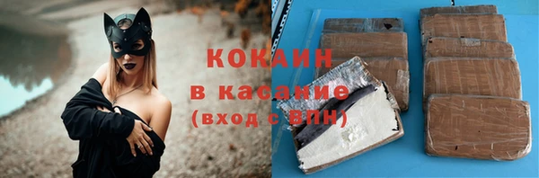 шишки Армянск