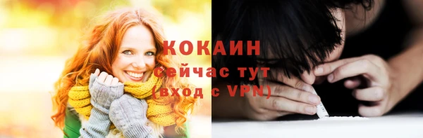 шишки Армянск