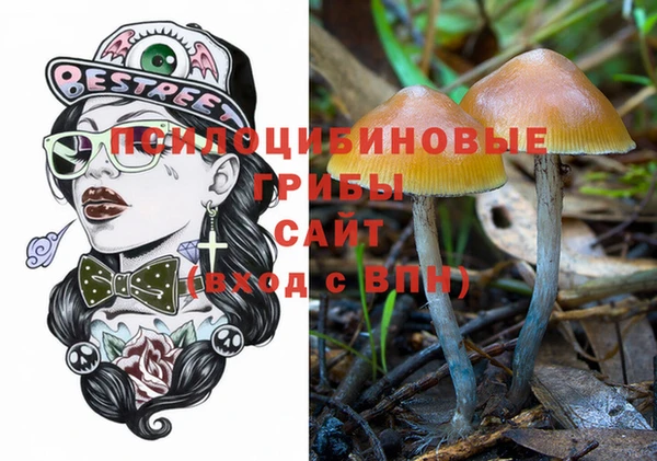 шишки Армянск
