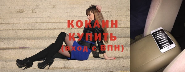 шишки Армянск