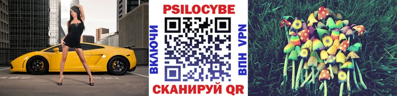 Псилоцибиновые грибы MAGIC MUSHROOMS  наркотики  Новая Ляля 